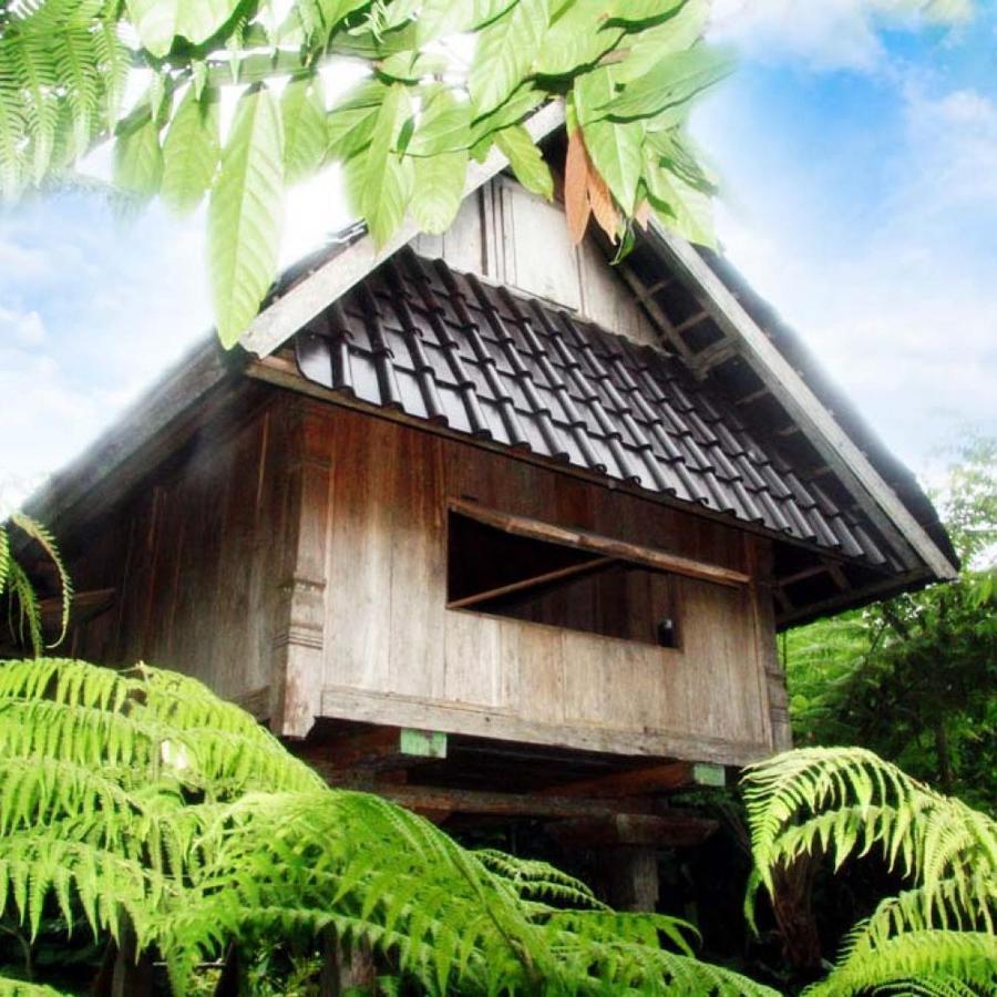 Вилла Bali Mountain Retreat Selemadeg  Экстерьер фото